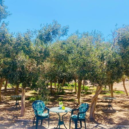 Olive Bungalow Gran Tarajal Luaran gambar