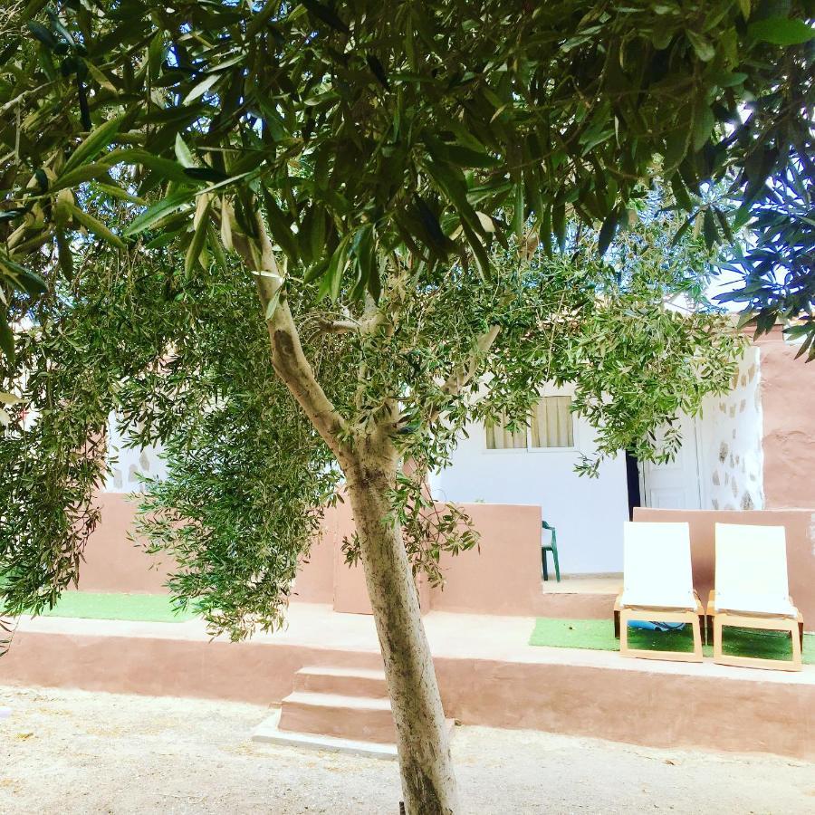 Olive Bungalow Gran Tarajal Luaran gambar